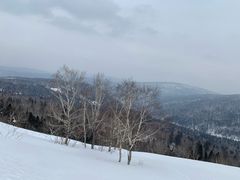 -凤凰山国家森林公园