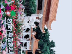 -深圳市中科院仙湖植物园