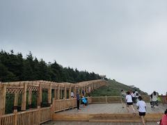 -白草畔自然风景区