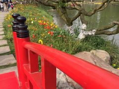 -秀丽东方