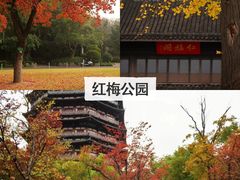-江南环球港
