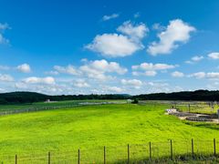 -济州森林小火车生态公园