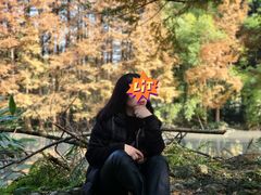 -桤木河湿地公园