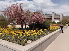 -西宁市人民公园(城西区)