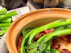 -正佳雨林生态植物园