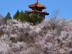 -白水寺森林公园