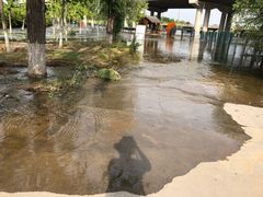 -永定河休闲森林公园