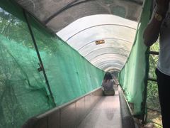 -北辰山景区