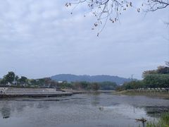 -滨海公园