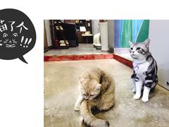 -咖法森林·咖啡  酒吧(天河店)