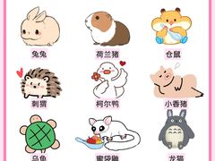 -立德动物医院·异宠·CT·鹦鹉(天河店)