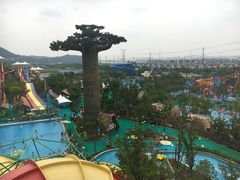 -苏州乐园森林水世界