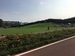 -迪茵湖田家舍生态农场