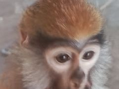 -济南野生动物世界