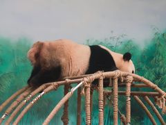 -杭州动物园