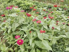 -任达丞国农庄(任达山庄店)