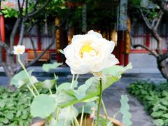 -李叔同故居纪念馆