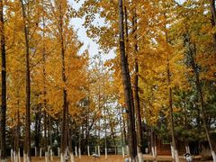 -艾溪湖湿地公园