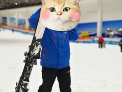 -绍兴启迪乔波冰雪世界