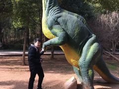 -中国西峡恐龙遗迹园