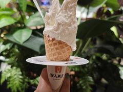 -野人先生Gelato(上海长宁龙之梦店)