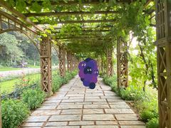 -北京张裕爱斐堡酒庄