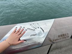 -星光大道