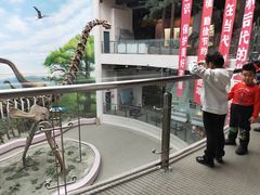 -辽宁古生物博物馆