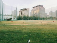 -美松高尔夫俱乐部