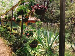 -北海金海湾红树林生态旅游区