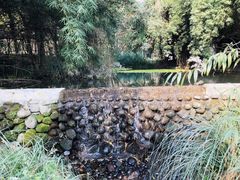 -成都中医药大学(温江校区)