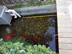 iphone_upload_pic-老洋房花园饭店(绍兴路店)