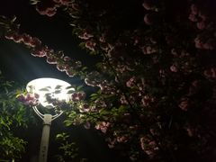 -黄山轩辕国际大酒店