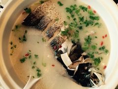 picture-杭州千岛湖滨江希尔顿度假酒店