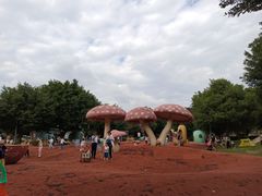 -琅岐红光湖公园