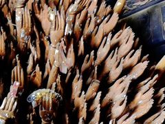 -报恩寺(平武县)