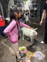 -Zoolung Zoolung动物主题公园(海信广场店)