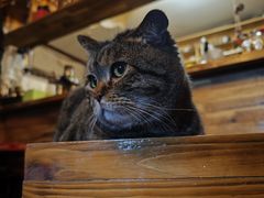 -云端咖啡私房店(河松街店)