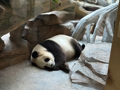 -宁波野生动物园