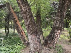 -长春市南湖公园