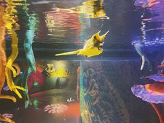 -沈阳海洋探索中心