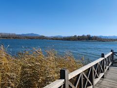 -野鸭湖国家湿地公园