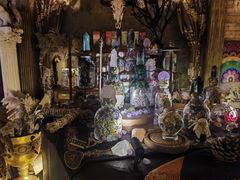 -雪灵魔法世界SHELLY’S TAROT(大良桂畔里店)