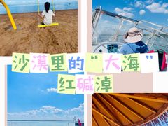 -红碱淖景区