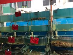-晓伟海鲜家常菜