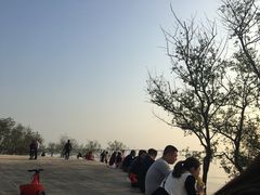 -宝安西湾红树林湿地公园