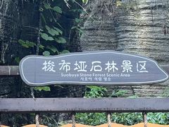 -梭布垭石林景区