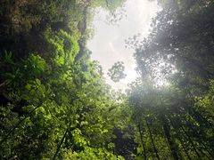 -中岜朗天坑(CV GEO INDO RAYA)