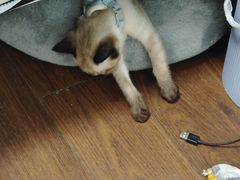 -美迦爱-牙专科·兔科·骨科诊疗中心(北苑店)