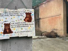 -柳州市动物园
